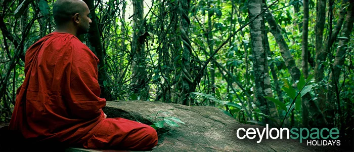 meditation in jungle